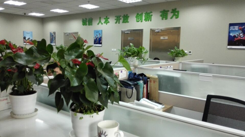 渤海銀行安貞支行裝修除甲醛治理 圖片7.png