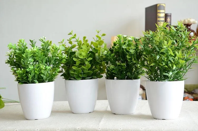 1615171511954298.jpg 640.webp.jpg